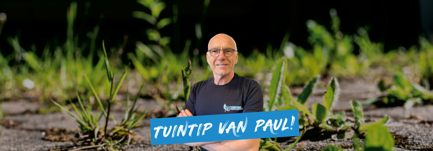 Header tuintip van Paul