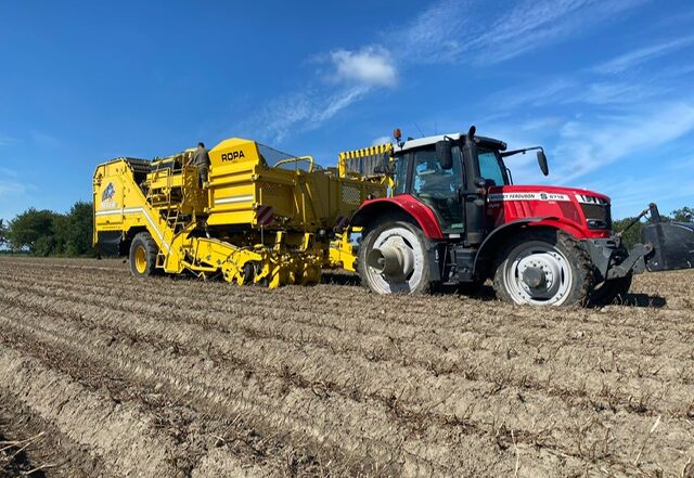 ROPA Aardappelrooier