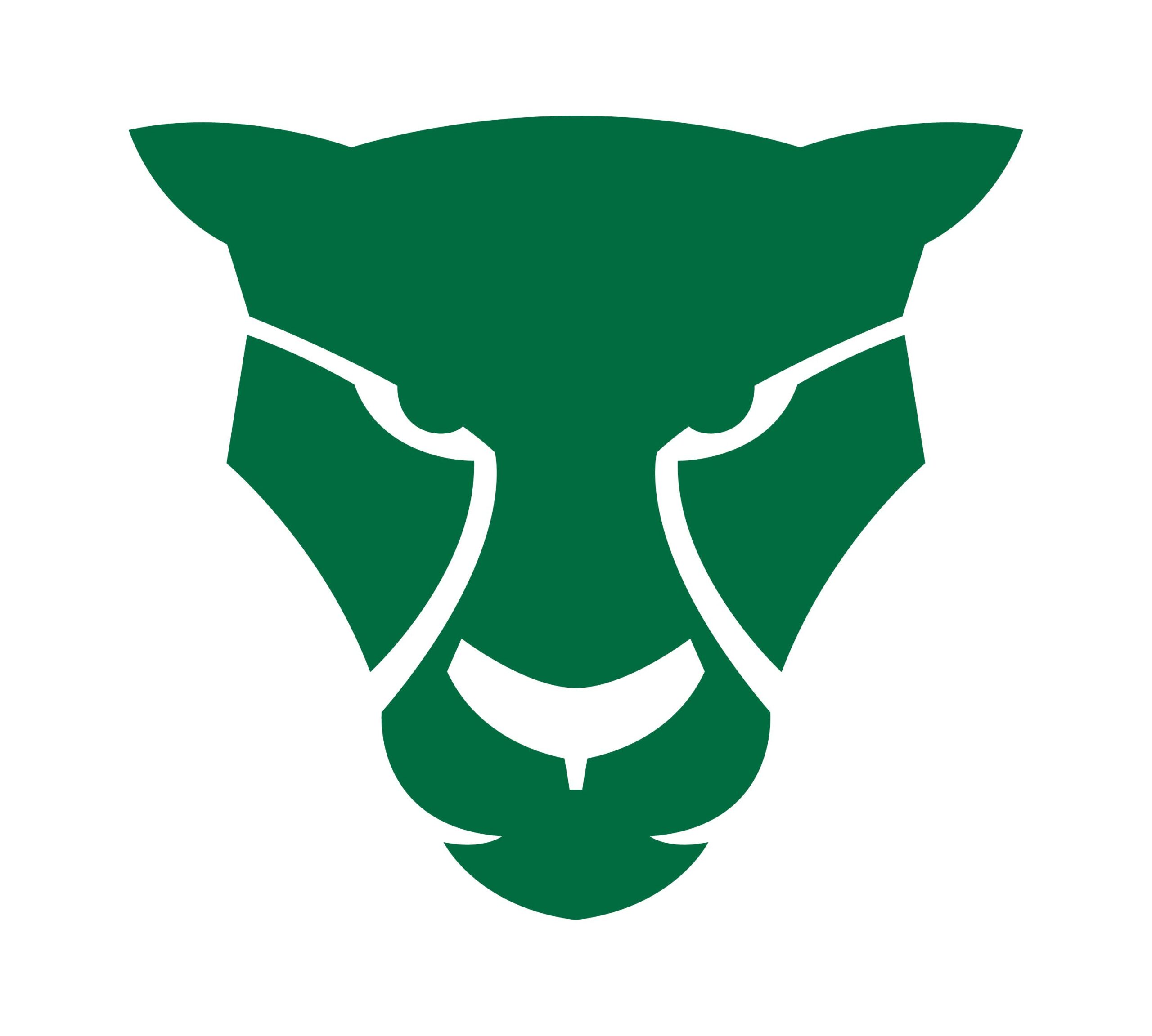 Logo AVR Puma 5